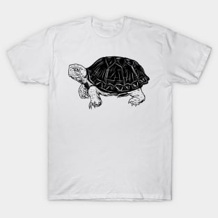 Line drawing - turtle T-Shirt